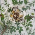 1_Erlebnistag_Sept_2010 001 (2)_500x375